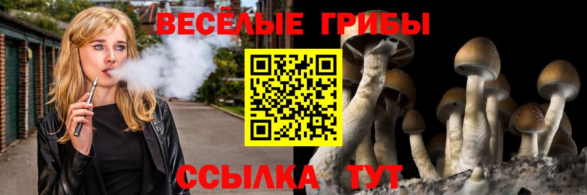 Псилоцибиновые грибы мухоморы  Псилоцибиновые грибы Magic Shrooms  Ейск  Вход с VPN 